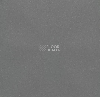 Линолеум Forbo Eternal Colour 40252 mercury фото 1 | FLOORDEALER